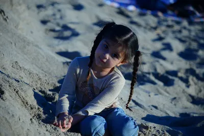 DSC_1183 (Large).JPG